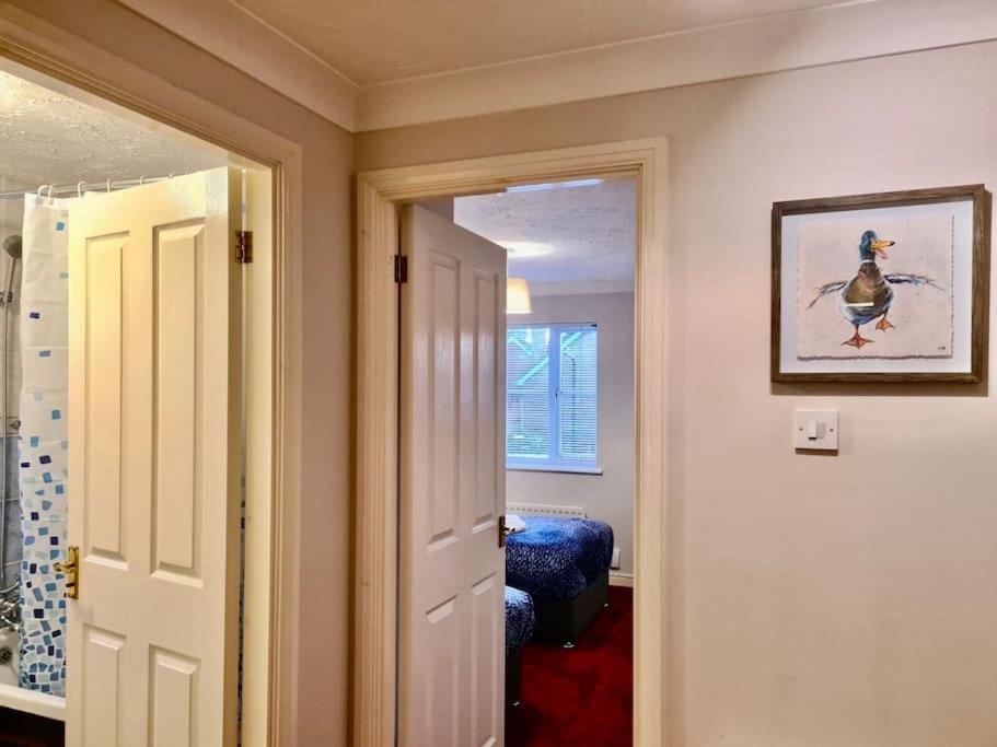 Delight Marvel- Beech Hurst-3 Bedroom House